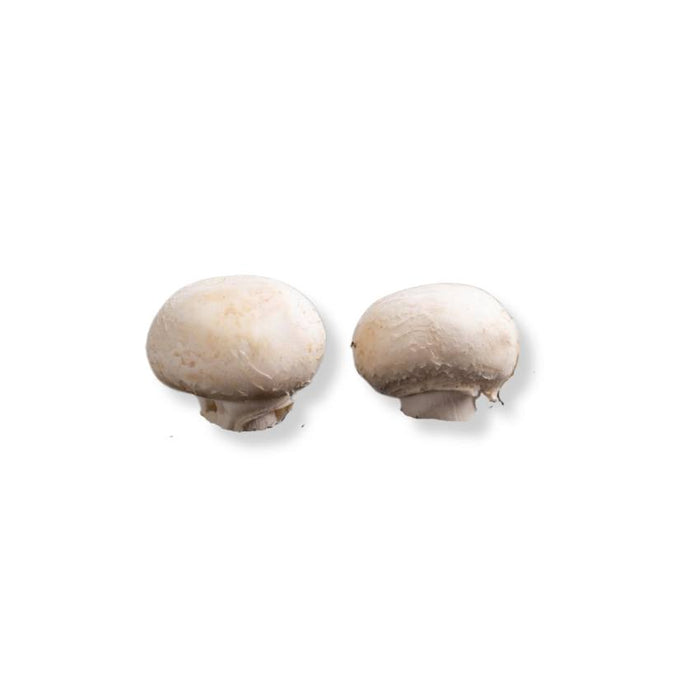 Perlchampignons | 1kg